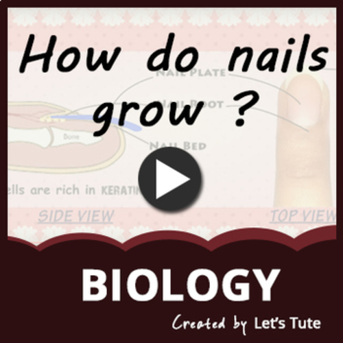 Preview of How do nails grow?  - Biology (Science)