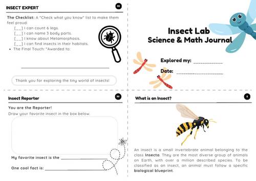 Insect Lab Mini Book | Science & Math Coloring Journal | Insect Activities
