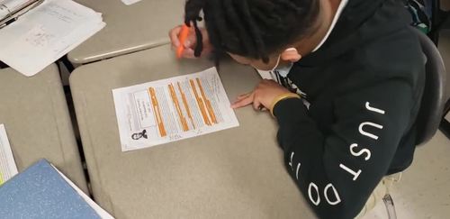 HENRY DAVID THOREAU'S "CIVIL DISOBEDIENCE" [LESSON ACTIVITIES] | TPT