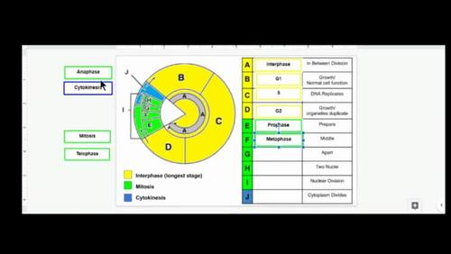 Cell Cycle Interactive Notes by iLearn Science Biology Diagrams