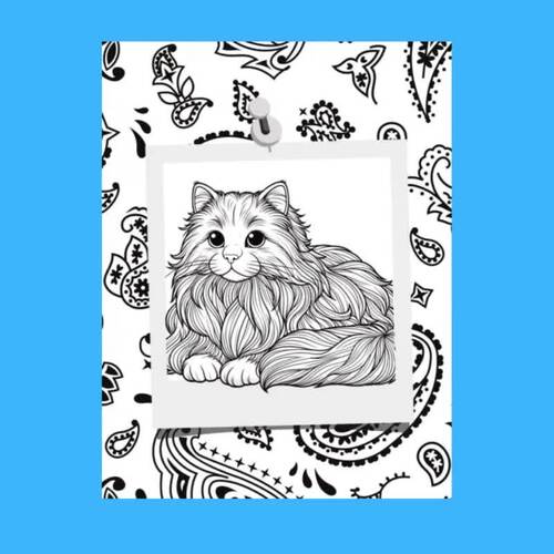 Long Haired Cats Coloring Book Digital Download. 30 Pages of Cute Cat ...