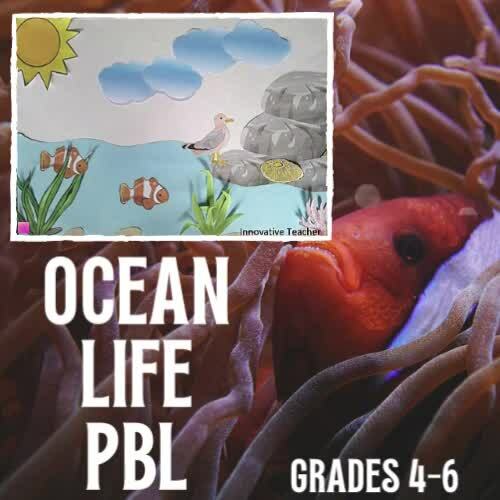 ocean ecosystem video for kids