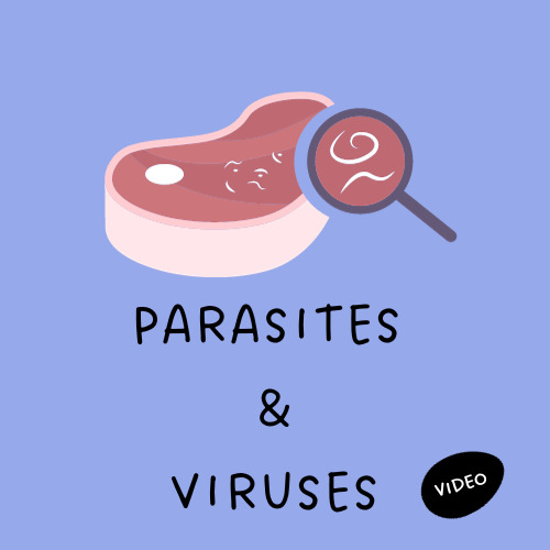 Preview of Food Safety - Parasites and Viruses Video