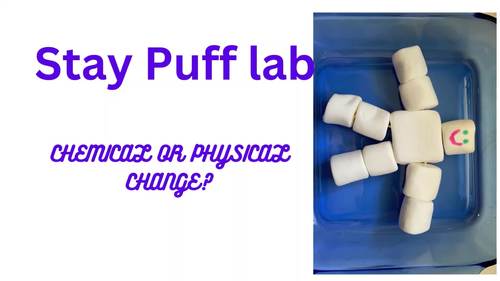 Chemistry Chemical and Physical Change Stay Puff STEM Lab Middle School