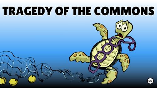 Tragedy of the Commons by Sprouts Learning Materials | TPT