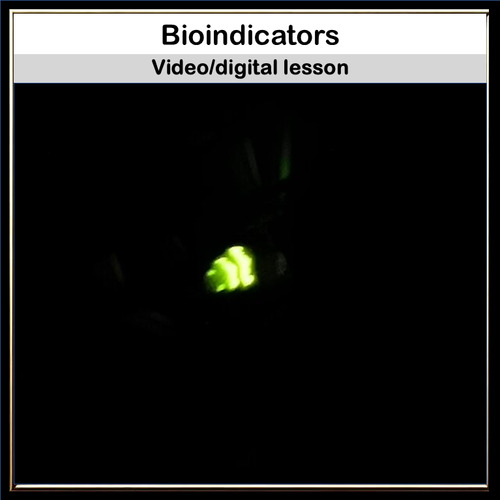 Bioindicators: Assess Ecosystem Health with Living Organisms ...