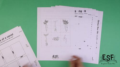 Carrot Life Cycle Cut Paste Project by Mr Es Specialties | TPT