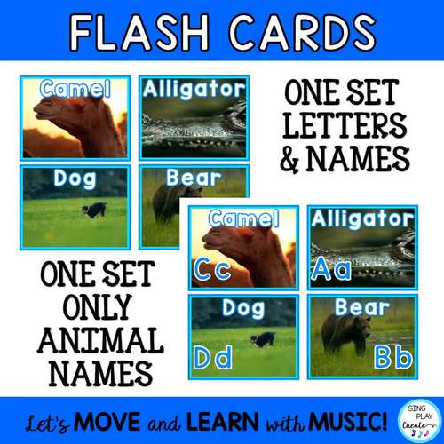Animal Alphabet Letter Posters, Flash Cards, Activities (Real Animal Pics)