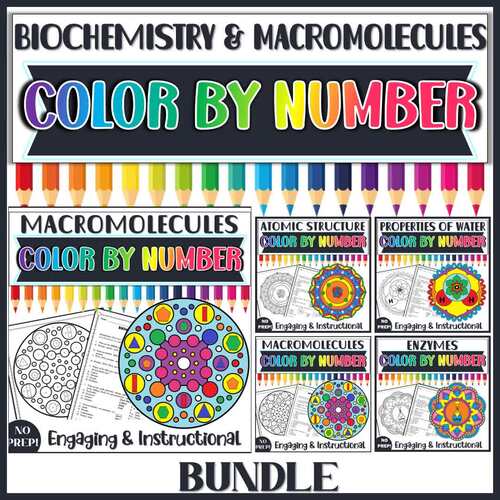 Biochemistry and Macromolecules Color by Number Bundle- Chemistry of Life