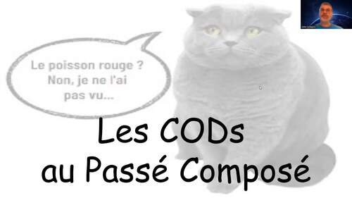 French Unit: COD (Direct Object Pronouns) & Passé Composé