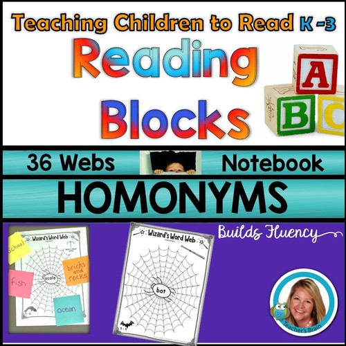 Preview of Homonyms Build Fluency - Making Fluent Readers VIDEO
