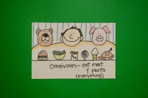 Preview of Let's Draw Omnivores!