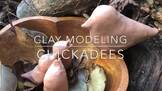 Clay Modeling of Chickadee Video | Art Lesson 1 of 5 | Ric