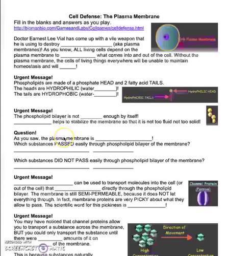 Plasma Membrane Video Game Handout with Complete Instructions ...