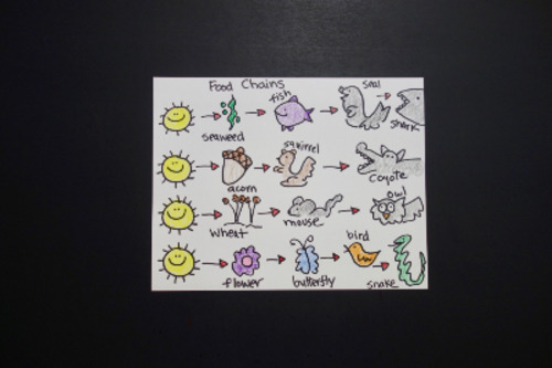 Preview of Let's Draw 4 Food Chains!