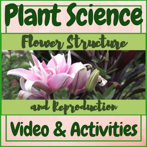 Preview of Plant Science Flower Structure and Reproduction Video & Activities!