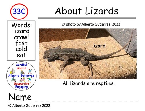 Preview of Read Aloud Video: About Lizards #33C