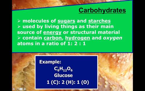 Preview of Biology Lecture Video/Carbohydrates /Flipped Classroom/Edpuzzle Ready