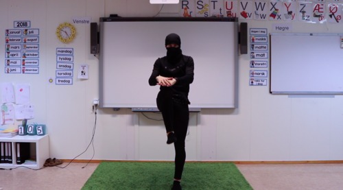 Preview of Classroom Exercise - Ninja