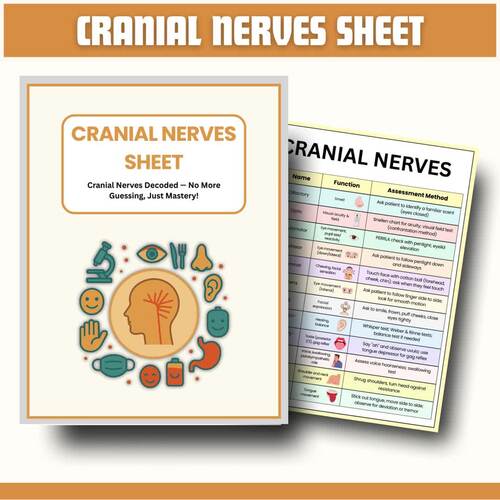 Cranial Nerves Study Guide & Cheat Sheets | Nursing & A&P PDF by ...