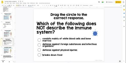 Human Body Systems Interactive Lesson by Kayla Renee' - Bright in the ...