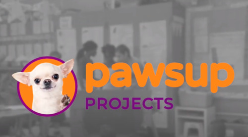 Preview of Paws Up Projects Website Intro Video!