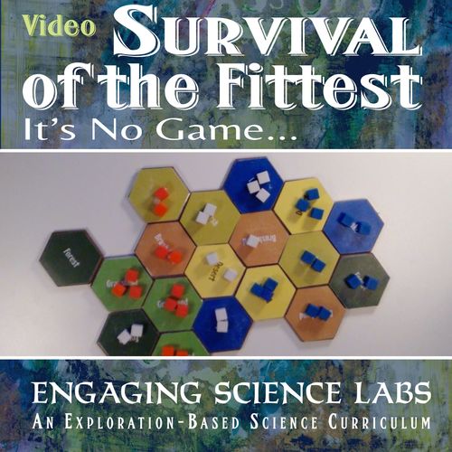 Preview of Video: Survival of the Fittest, A Game of Populations