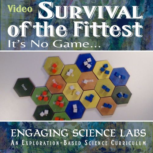 Survival of the fittest activity | TPT Survival of the fittest activity | TPT