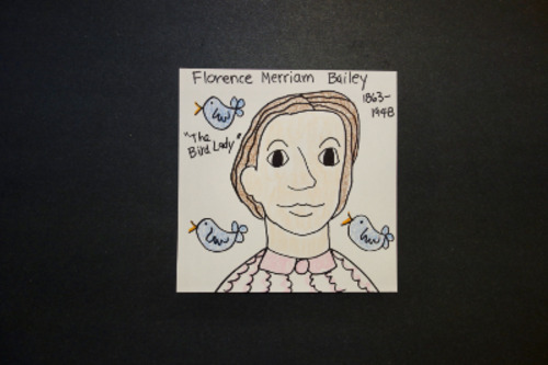 Preview of Let's Draw Frances Merriam Bailey!   (The Bird Lady)