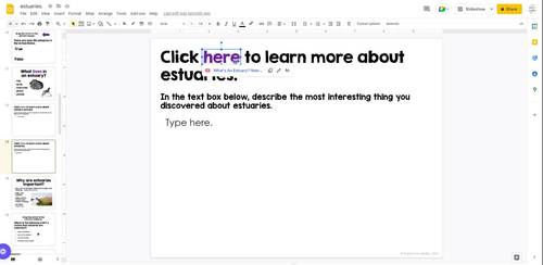 Estuaries - Interactive Lesson by Kayla Renee' - Bright in the Middle