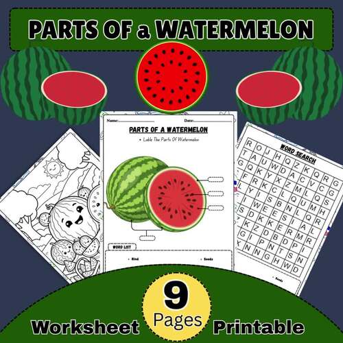 Parts Of a Watermelon Worksheet | Fruit Structure Labeling & Activity ...