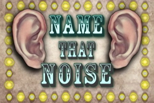 Preview of The "Name That Noise" Game