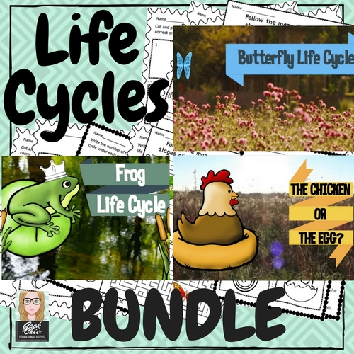 Preview of Life Cycles: Chicken Frog and Butterfly TRIPLE BUNDLE Video & Activities