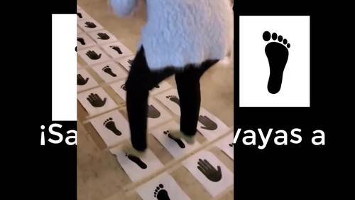 Spanish Class Brain Break Hopscotch - Hand - Foot Pictures ...