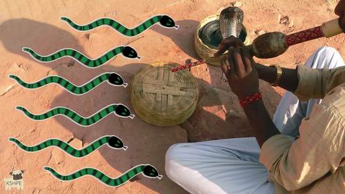 Preview of Snake Slither Dance Creative Movement