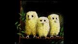 Owl Babies/ 猫头鹰宝宝