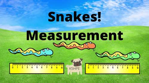 Preview of Snakes! Measurement, Video and Slides!!