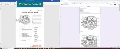 Animal Cell Quiz - Two Versions | Editable, Printable PDF & Google Drive  Options