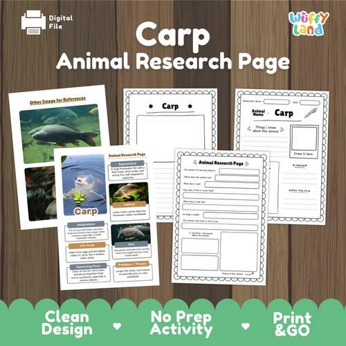 Carp Fish Animal Research Page | Fish Life Cycle & Habitat | Print & Go