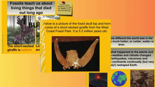 All About Fossils & Rocks: What We Can Learn from the Past (Grades 3–6)
