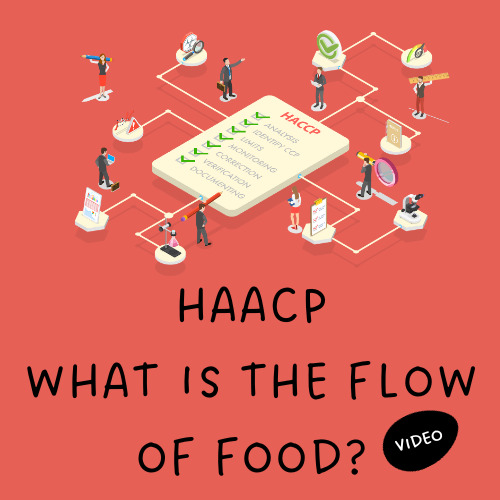 Preview of Food Safety - HAACP- What is the flow of food? Video