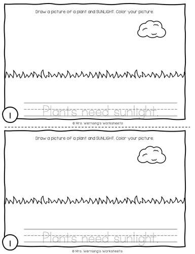 What Plants Need - KINDER SCIENCE by Mrs Wernsings Worksheets | TPT