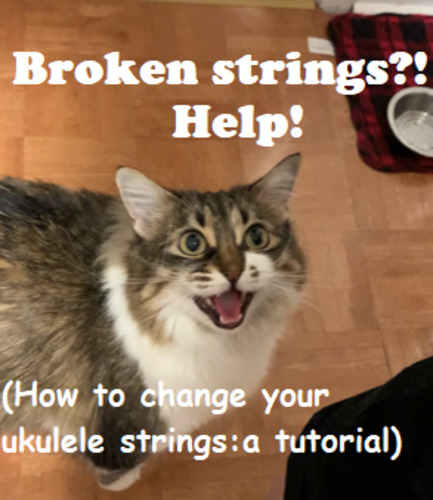 Changing Ukulele Strings Tutorial