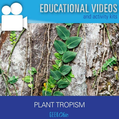 Preview of Plant Science Tropism Phototropism Hydrotropism & More Video & Activities!
