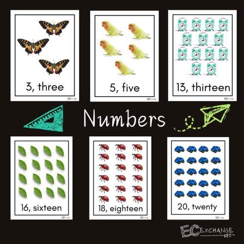 Number Count Display by Early Childhood Exchange | TPT