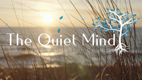 10 MINUTES of OCEAN WAVE AMBIENCE - The Sound Of Waves To Calm Your