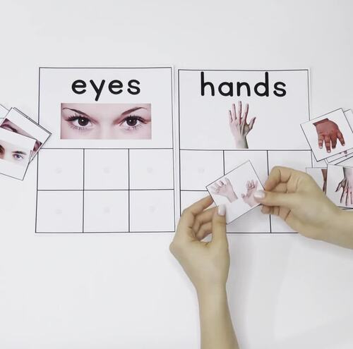 Body Parts Flashcards Posters Activities Worksheets Teacher ...