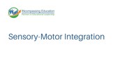 SEL Competencies: Sensory Motor Integration