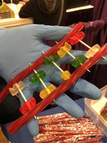 Preview of Build a DNA Strand Model with candy & toothpicks - video and printed lesson plan