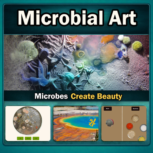 Preview of Microbial Art Bacterial Colonies Interactive Microbiology Lesson